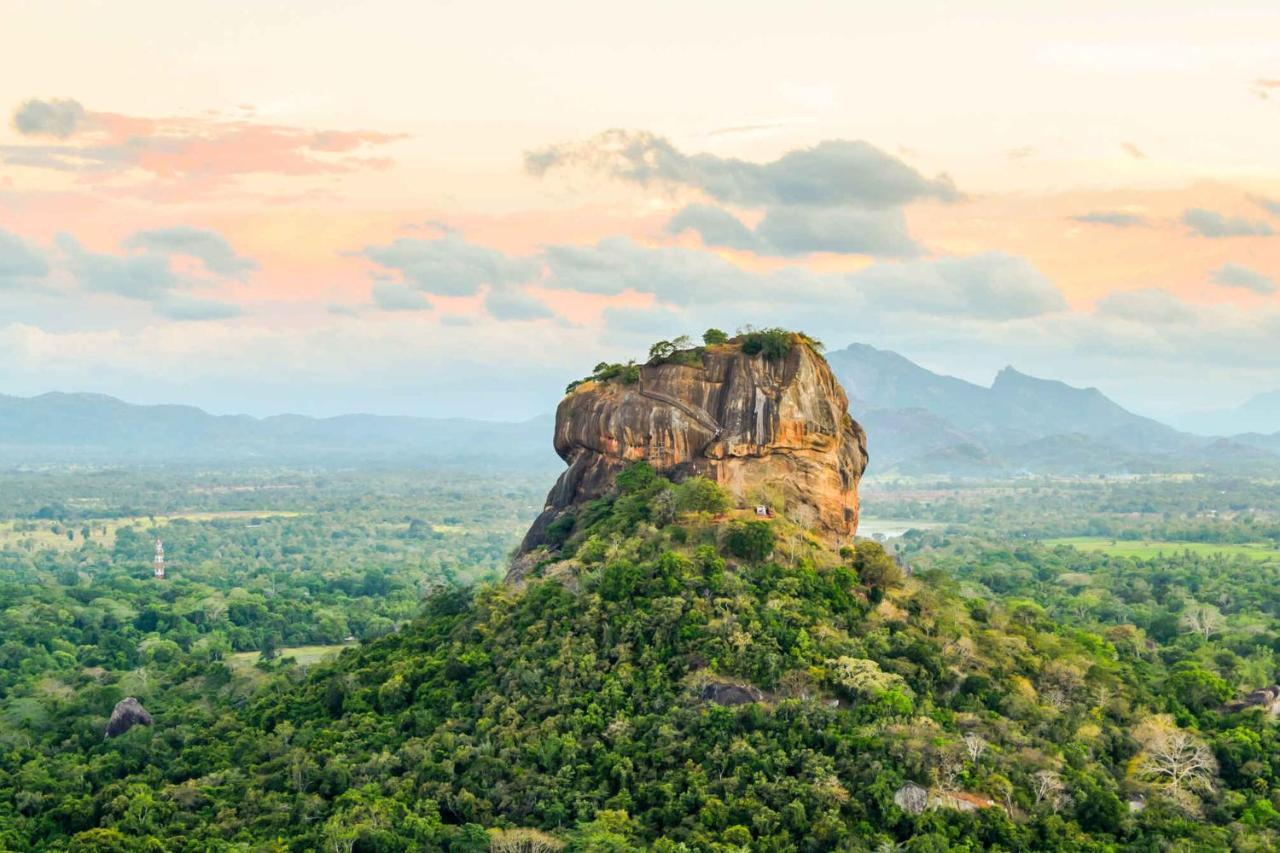 Sun Flower Homestay Sigiriya Exterior foto