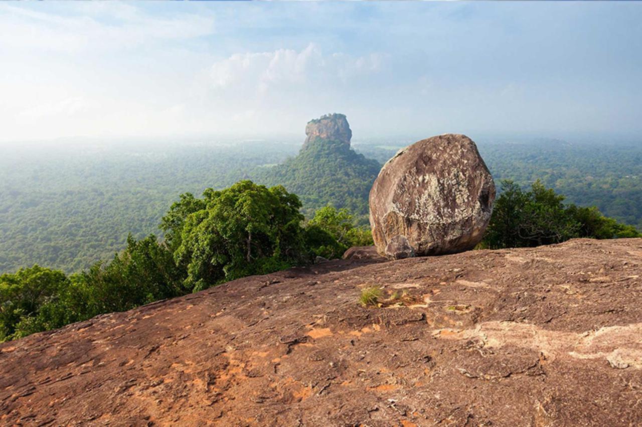 Sun Flower Homestay Sigiriya Exterior foto