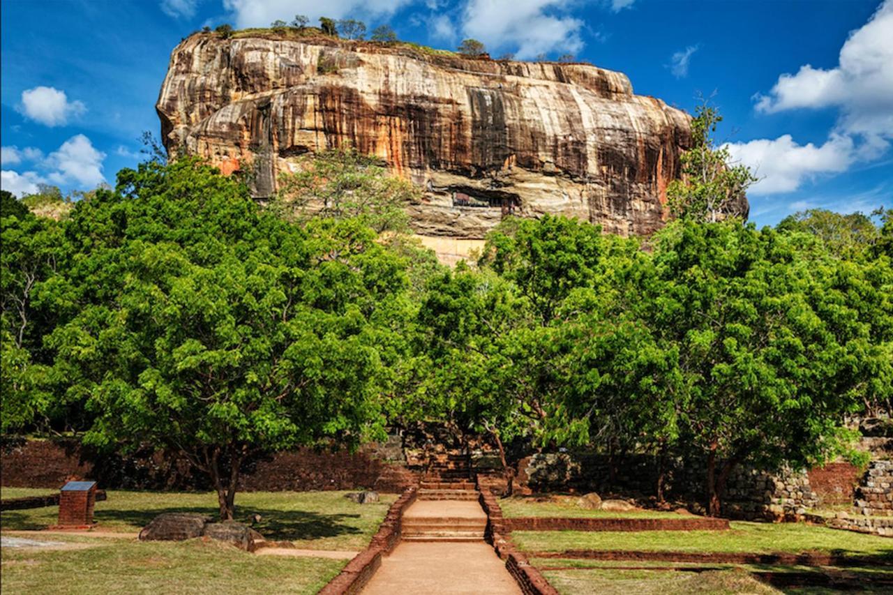 Sun Flower Homestay Sigiriya Exterior foto