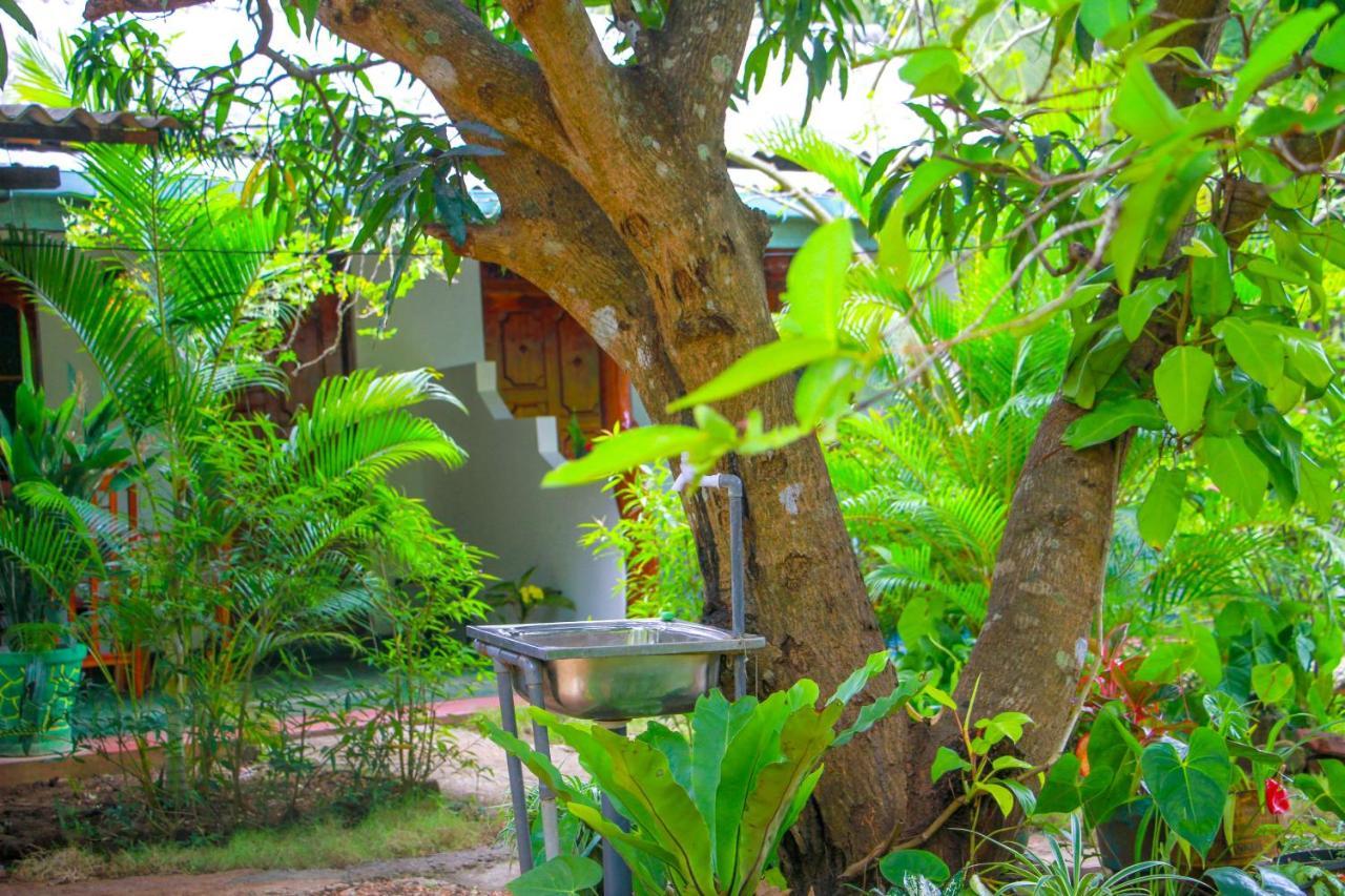 Sun Flower Homestay Sigiriya Exterior foto