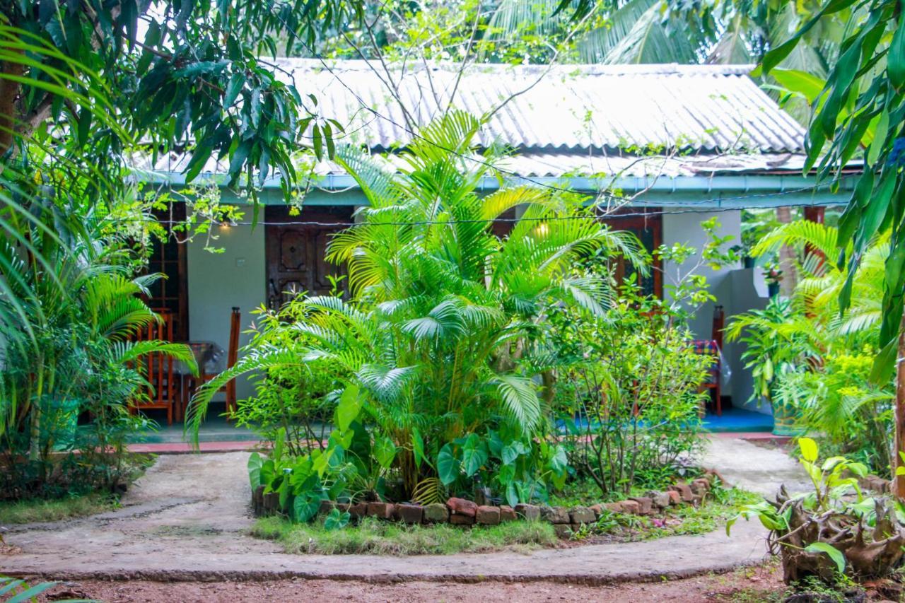 Sun Flower Homestay Sigiriya Exterior foto