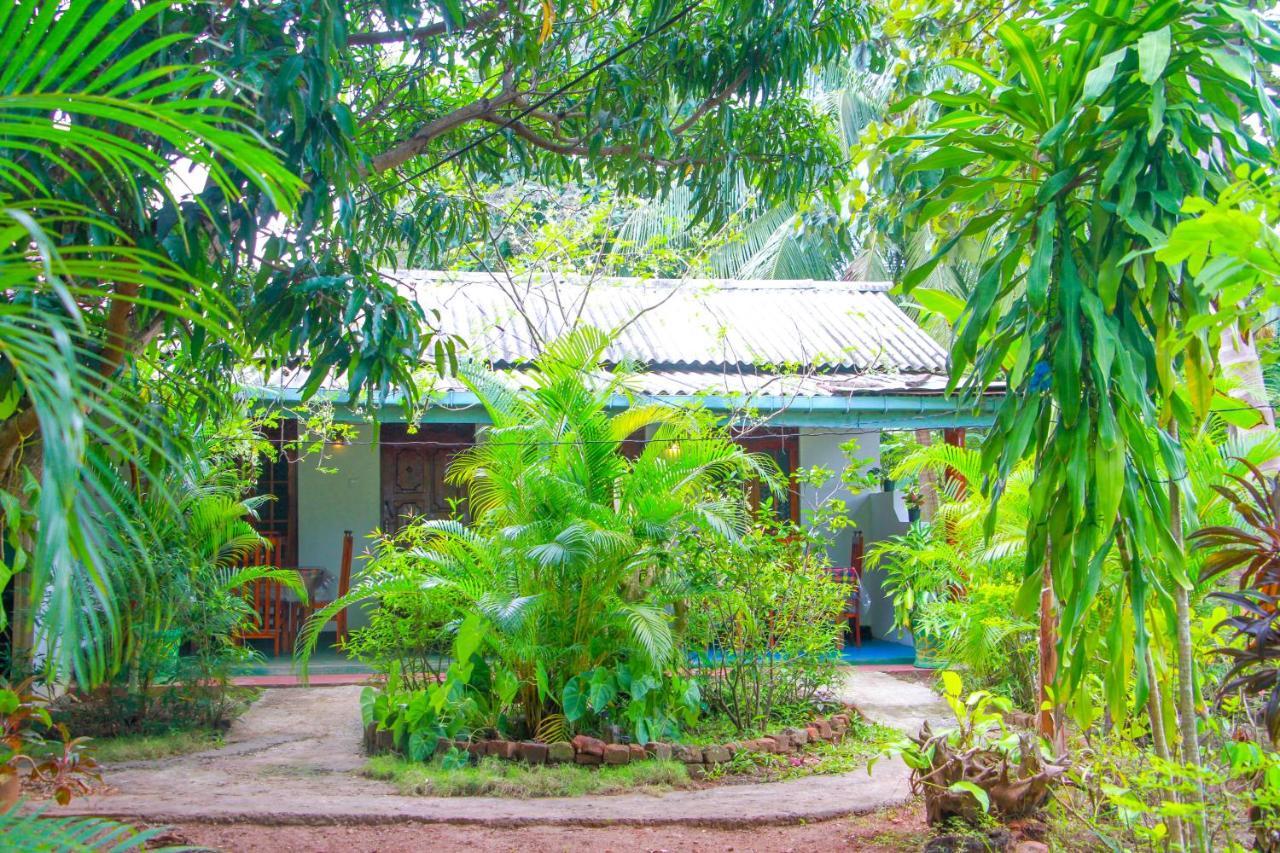 Sun Flower Homestay Sigiriya Exterior foto