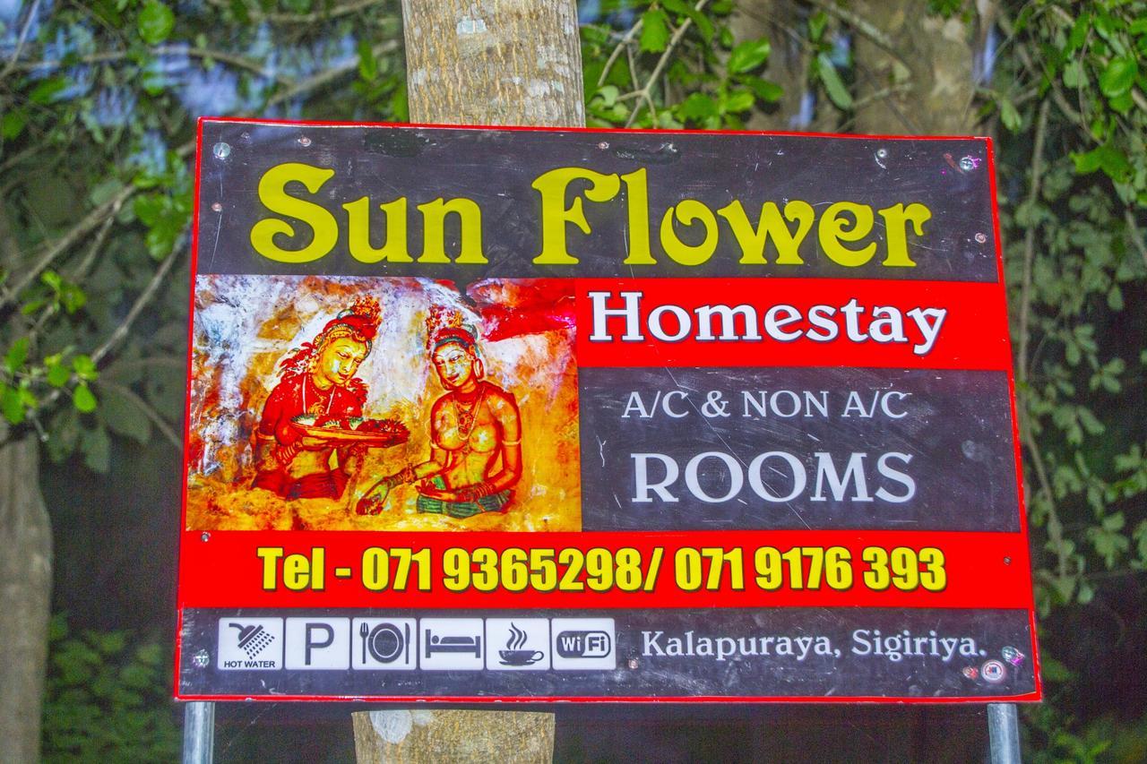 Sun Flower Homestay Sigiriya Exterior foto