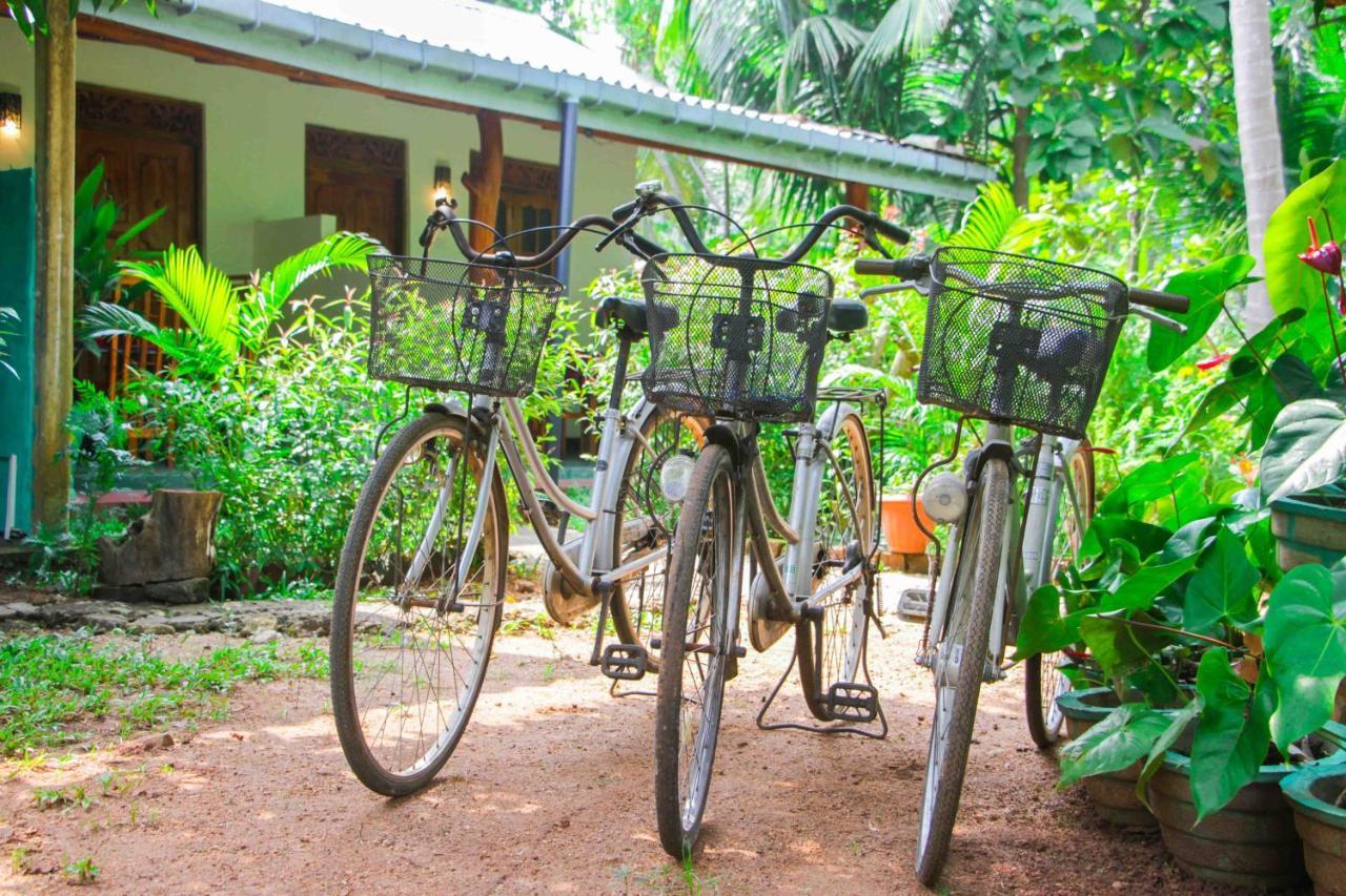 Sun Flower Homestay Sigiriya Exterior foto